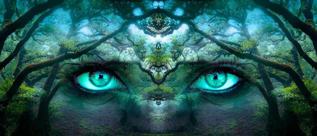 Starseeds: Sterrenkinderen, sterrenmensen of sterrenzaden - MaanErgie